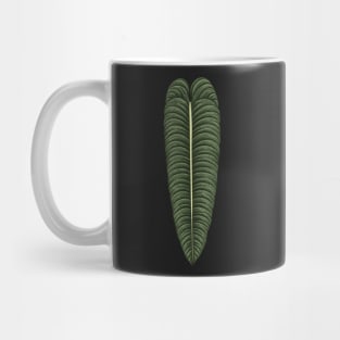 Anthurium veitchii big leaf Mug